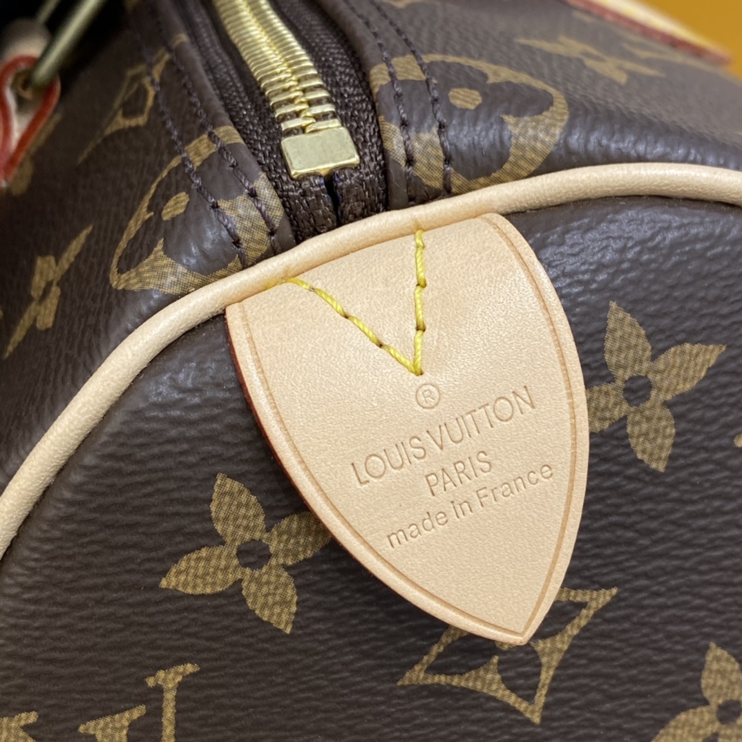 Louis Vuitton SPEEDY BANDOULIERE 25 Monogram Handbag M41109 